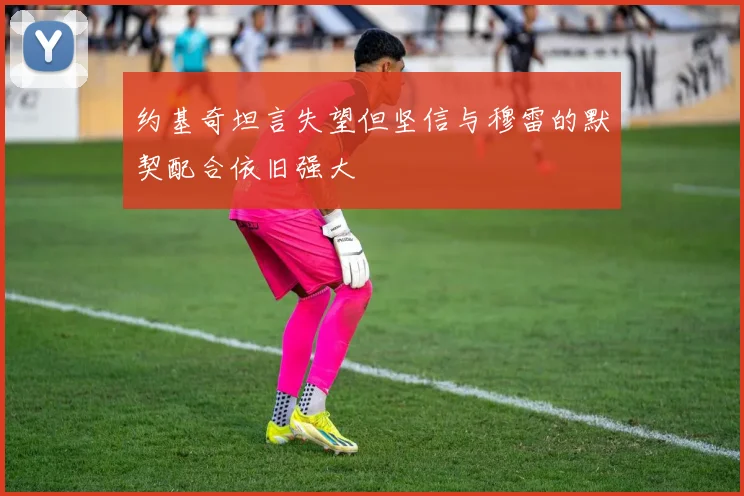约基奇坦言失望但坚信与穆雷的默契配合依旧强大