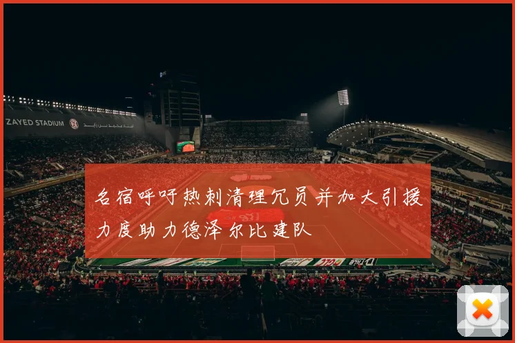 名宿呼吁热刺清理冗员并加大引援力度助力德泽尔比建队