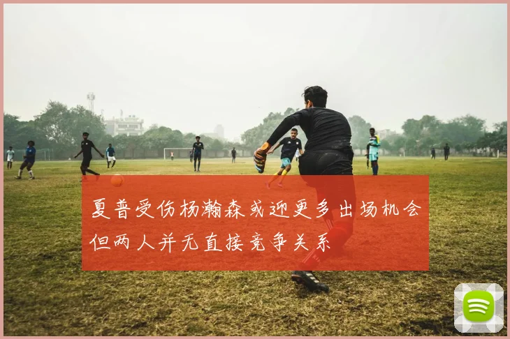 夏普受伤杨瀚森或迎更多出场机会但两人并无直接竞争关系